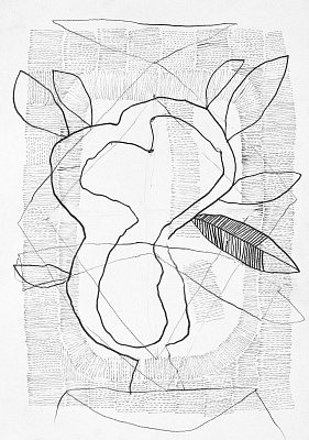 Growing plant.jpg